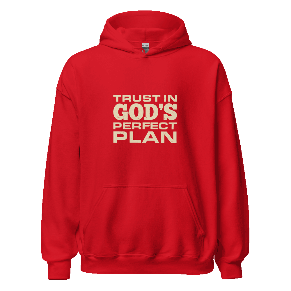 Unisex Trust in God's Perfect Plan Hoodie with faith-inspired message in eco-friendly cotton blend, ideal for casual, faith-based style.